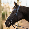 Bridle Horsenjoy Anatomic