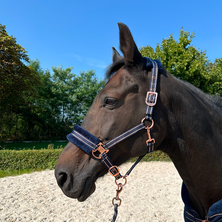 Halter York Gold Star