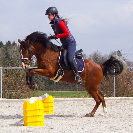 Podstawka pod cavaletti