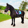 Saddle pad Horsenjoy Rainbow Pastel VS