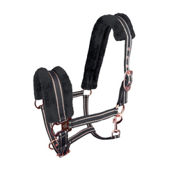 Halter York Gold Star