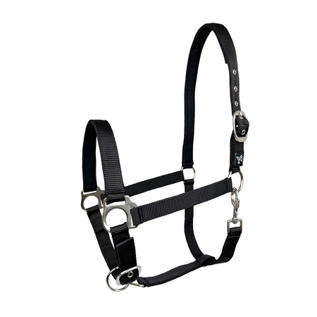 Halter York Dora