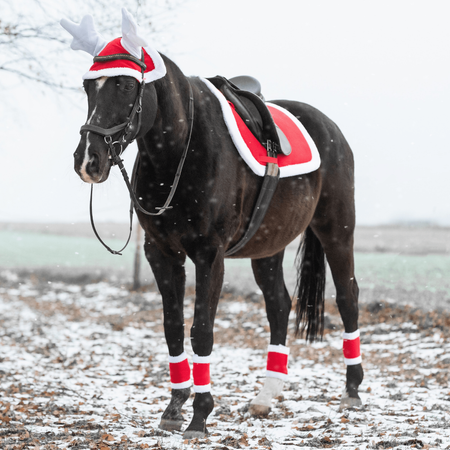 Bandages York Christmas