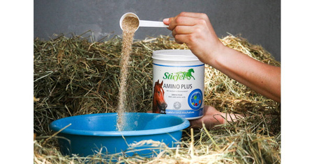 Amino Plus Stiefel aminokwasy i składniki mineralne