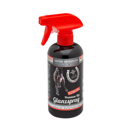 Premium Top Glanzspray Optenplatz