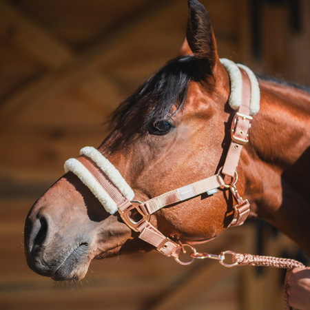 Halter Horsenjoy Pearl