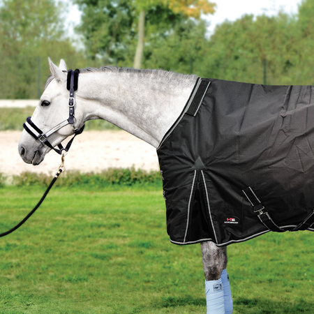 Turnout rug Horsenjoy Aristo 600D 100 g