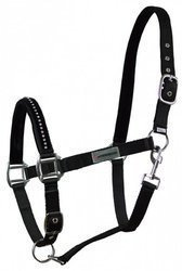 Halter Horsenjoy Glitter