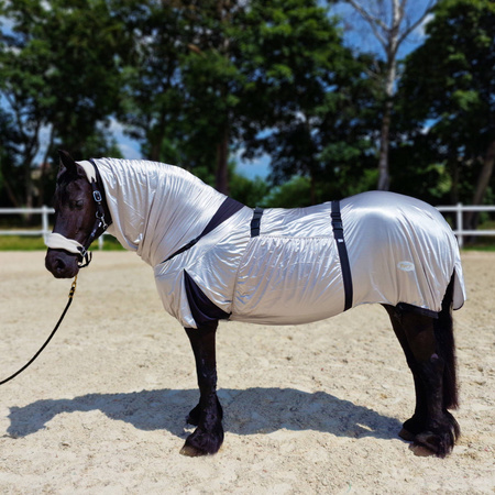 York Eczema Fliegendecke