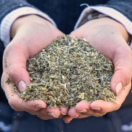 Intestinal herbs Stiefel