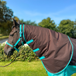 Halsteil York Clarion