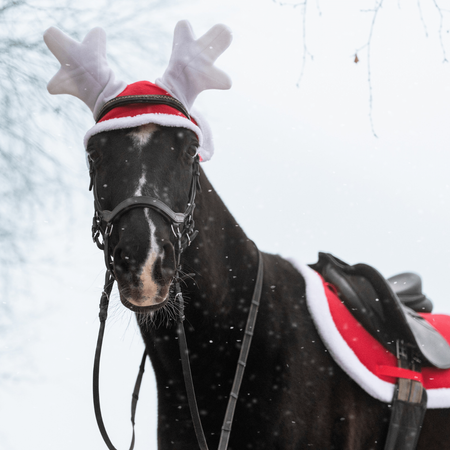 Ear bonnet York Christmas Reindeer