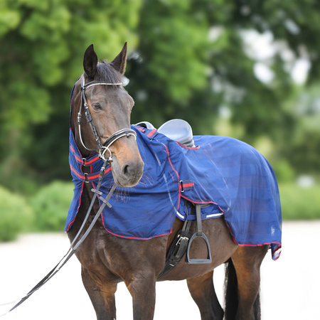 Fly riding rug York Lyra