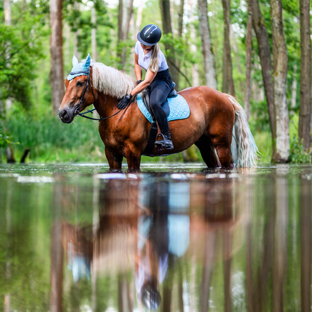 Saddle pad York Andrea VS