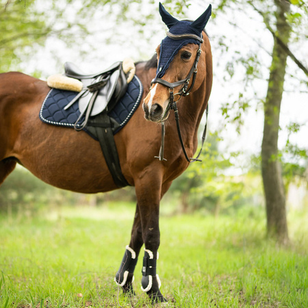 Saddle pad Horsenjoy Mia VS