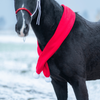 Horse scarf York Christmas