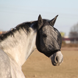 Fly mask York Anika