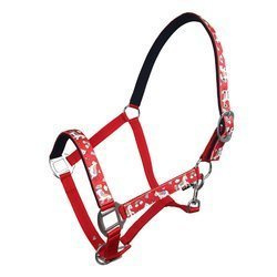 Halter York Timmy