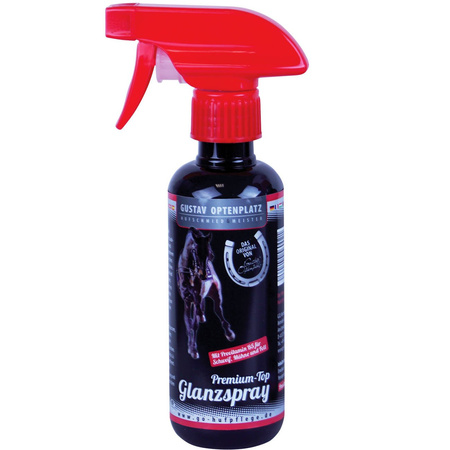 Premium Top Glanzspray Optenplatz