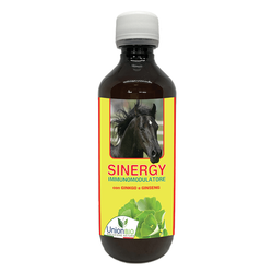 Sinergy Union Bio energy and well-being