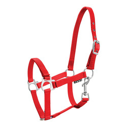 Foal halter York