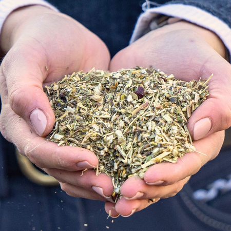 Immunity herbs Stiefel