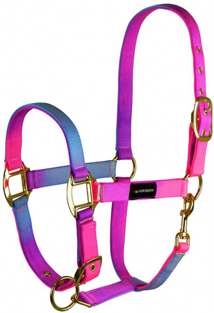 Halter Horsenjoy Rainbow Pastel