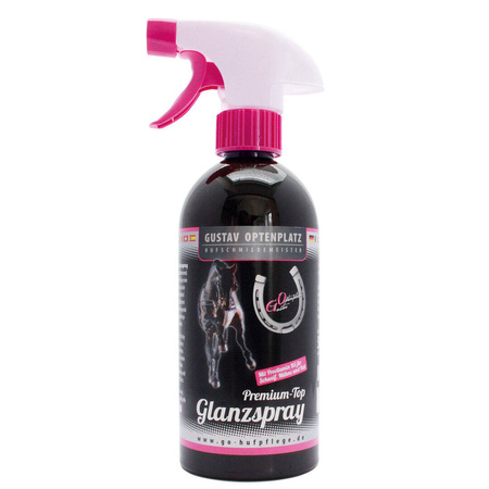 Premium Top Glanzspray GirlzSerie Optenplatz