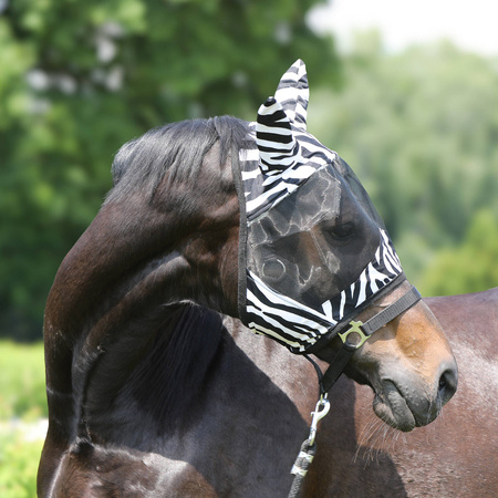 York Zebra Fly Mask
