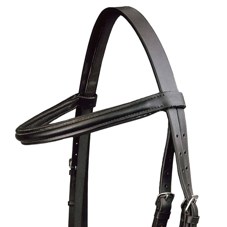 Tranzelka York Frida