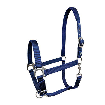 Halter York Dora