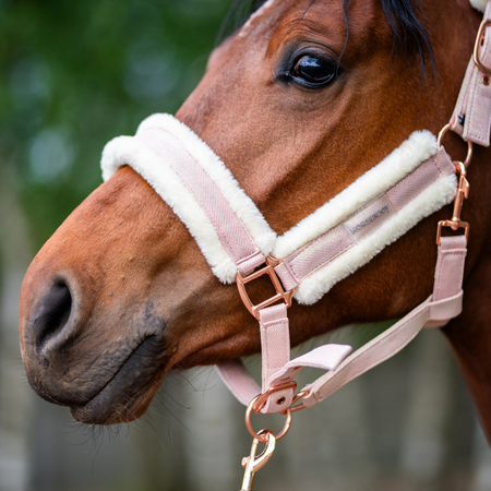 Halter Horsenjoy Glossy